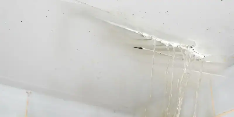 Emergency Roof Repair: What Homeowners Should Do During a Leak or Storm